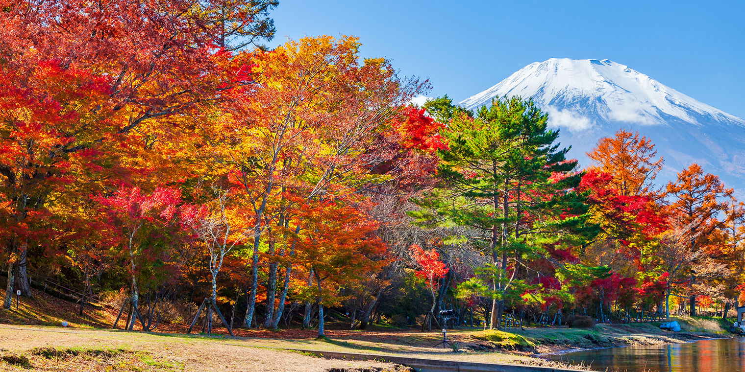 紅葉と富士山