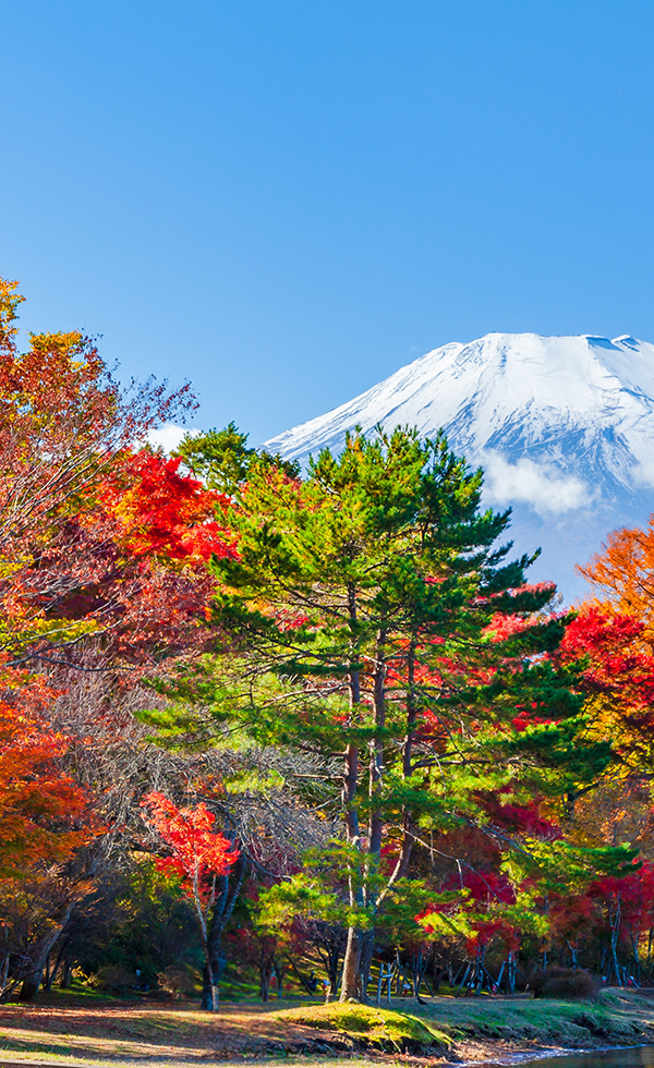 紅葉と富士山